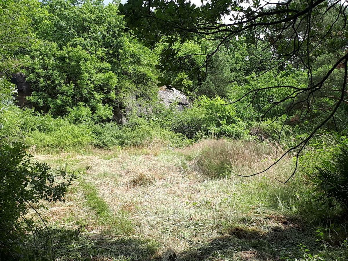Apfelscheune Cannewitz Malschwitz Exterior photo